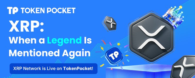 TPToken官网最新发布内容总结